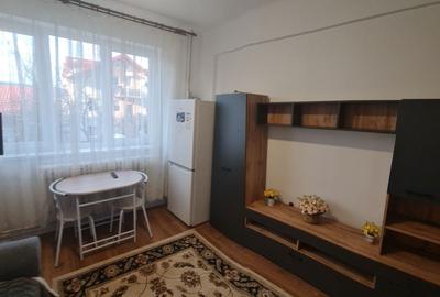 Garsonieră decomandată în Gruia - 6