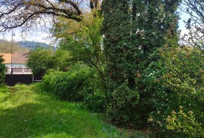 Casa cu teren de vanzare in orasul Covasna - 3