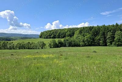 Teren de 670 mp, în Vlădeni - 1