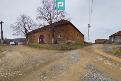 Reziden?a de vis pe Valea Mure?ului la Lala?in? - 22