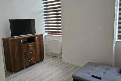 Chirie 2 cam ultracentral-Piata Unirii ,mobilat , dotat, parter, lux , gaz - 1