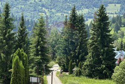 Hotel / Pensiune cu 18 camere de vanzare Durau - 1