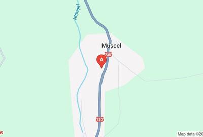 Vând teren, intravilan, 1000mp în Com.BOTENI,  județul Argeș - 1