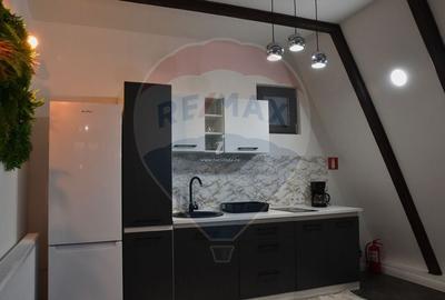 Cabana A-frame de vanzare Ocna Sugatag - 6