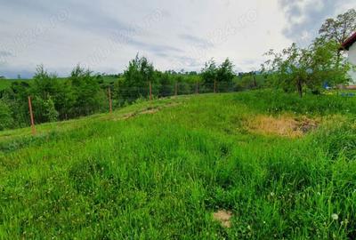 Teren extravilan sat pestera jud brasov - 5