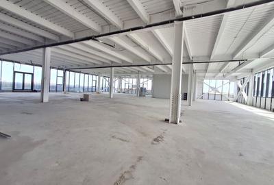 Spațiu comercial, de 900 mp, în Ștefăneștii de Jos - 6