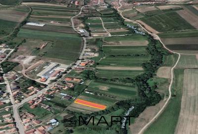 Teren  700 mp  Hamba - 1