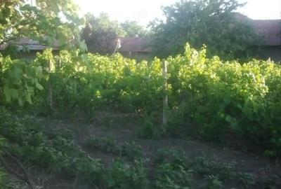 Vand casa in Urziceni cu 3 camere 100mp,teren 930 mp,sau schimb cu apartament in Bucuresti - 1