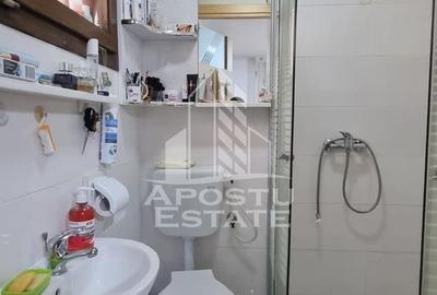 Casă individuală cu 6 camere cu Teren 2712 Mp în Dudeștii Noi - 7