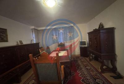 Proprietate deosebita in Filiasi - 12