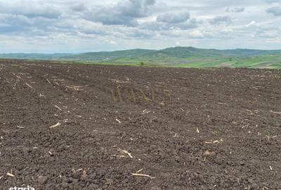 Teren de 10200 mp, în Budești - 4