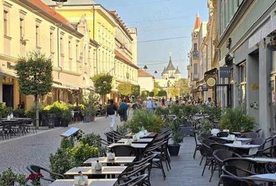 Apartament 2 camere de vanzare, ultracentral, Str. Vasile Alecsandri - 2