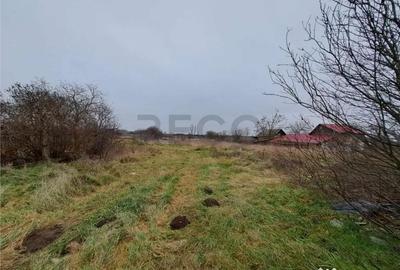 Casă cu 1 camere cu Teren 1798 Mp în Ciumeghiu - 6