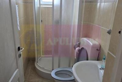 Casă individuală cu 12 camere cu Canalizare în Valea Alba - 40