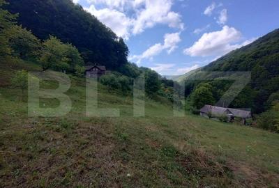 Cabana 3 cam,2 nivele 100 mp+teren extravilan 2,5 ha+1 ha padure,zona Nasaudului - 11