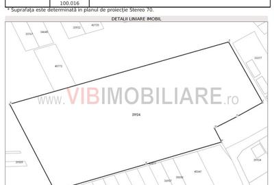 Teren intravilan de 100000 mp, în Nord-Vest - 2
