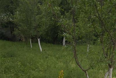 Teren de 1359 mp, în Nistorești - 2