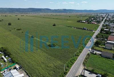 Teren de vanzare, Letea Veche, Jud. Bacau - 3