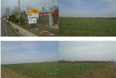 Teren de 6950 mp, în Tudor Vladimirescu - 3