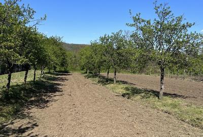 Spațiu comercial, în Ultracentral - 1