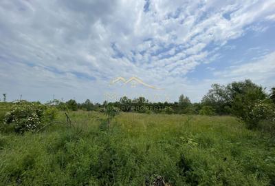 Teren Construcții intravilan de 1439 mp, în Crețești - 19