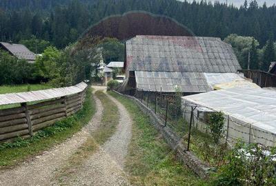 Teren de 6865 mp, în Voroneț - 15