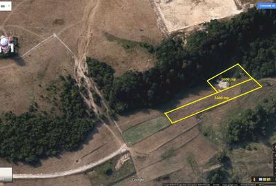 Spațiu comercial, în Feleacu - 2