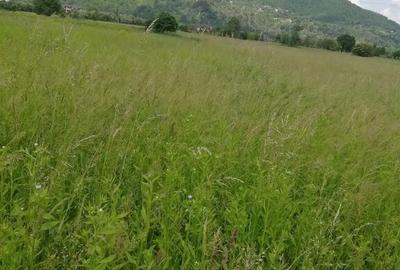 Teren Vaduri, com.Al.cel Bun - 4