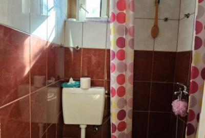 Casa curte- Metrou Pieptanari - 1