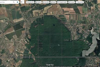 `Teren cu dubla deschidere, langa padure, Snagov - Strada Parcului - 4