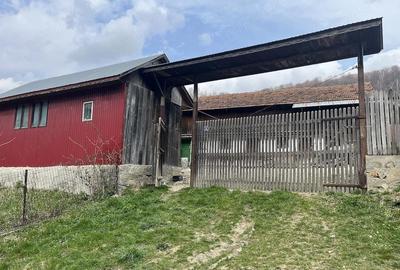 Casă cu Teren 2000 Mp în Terca - 4
