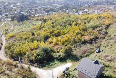 Teren de 10000 mp, în Bucium