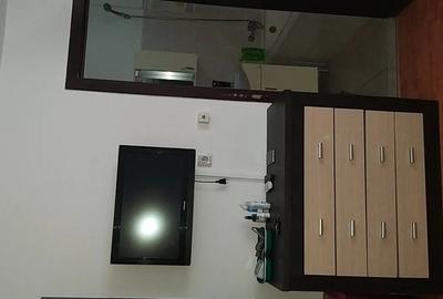 Apartament cu o Camera in Dragasani - 3