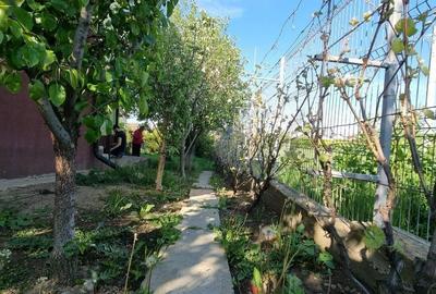 Casă cu 5 camere cu Canalizare în Brănești - 6