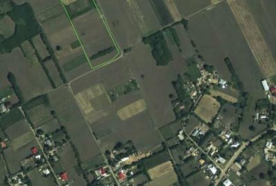 Spațiu comercial, în Broșteni - 1