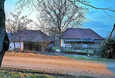 Teren de 2400 mp, în Dobrin - 4