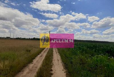 Teren de 715 mp, în Snagov - 32