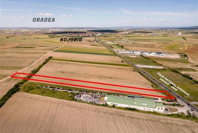 Teren intravilan de 7959 mp, în Nojorid - 2
