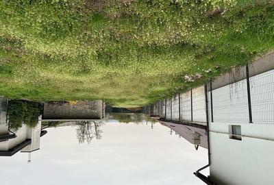 Teren Construcții intravilan de 5000 mp, în Preajba - 2