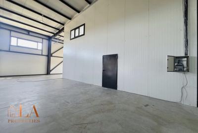 Spațiu industrial, de 540 mp, în Domnești - 5