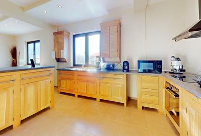 Casă individuală cu 7 camere cu Teren 1672 Mp în Sohodol - 11