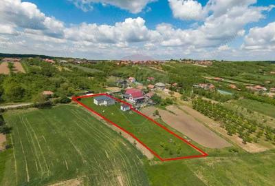Casă cu 3 camere cu Teren 2042 Mp în Calea Mare - 12