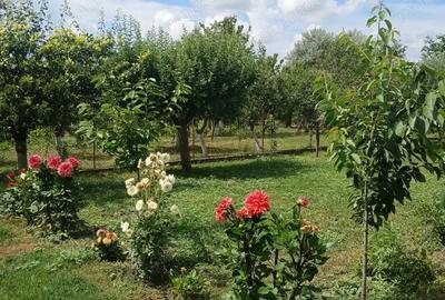 Casă cu 6 camere în Central - 1