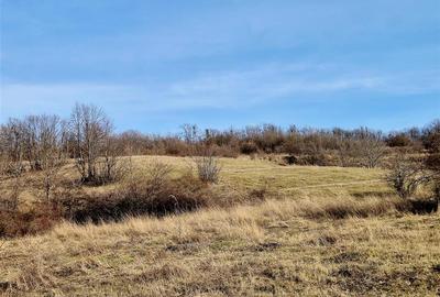 Teren agricol extravilan de 500 mp, în Tomești - 2