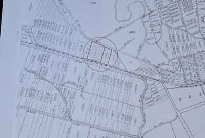 Teren 10.000 mp | Calea Urseni | Front 63 ml la asfalt | Utilitati - 5