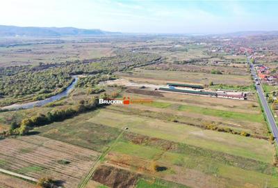 Teren de 38054 mp, în Groși - 3