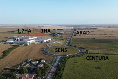 Teren cu PUZ 1 HA zona Mahle - 2