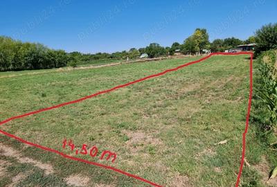Vand 1 205 mp teren pe malul Br Borcea ( Dunarea ) la Satnoeni / CL - 3