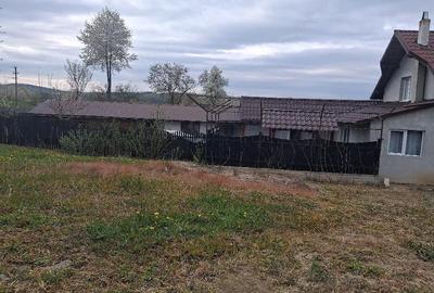Casă cu Teren 1000 Mp în Râșca - 4