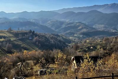 Teren de 20000 mp, în Moieciu - 3
